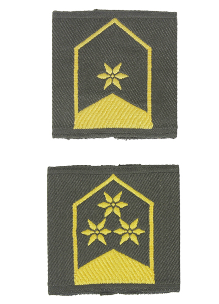 S＆Graf / 【3871】AUS. エポレット型階級章[OD/佐官]