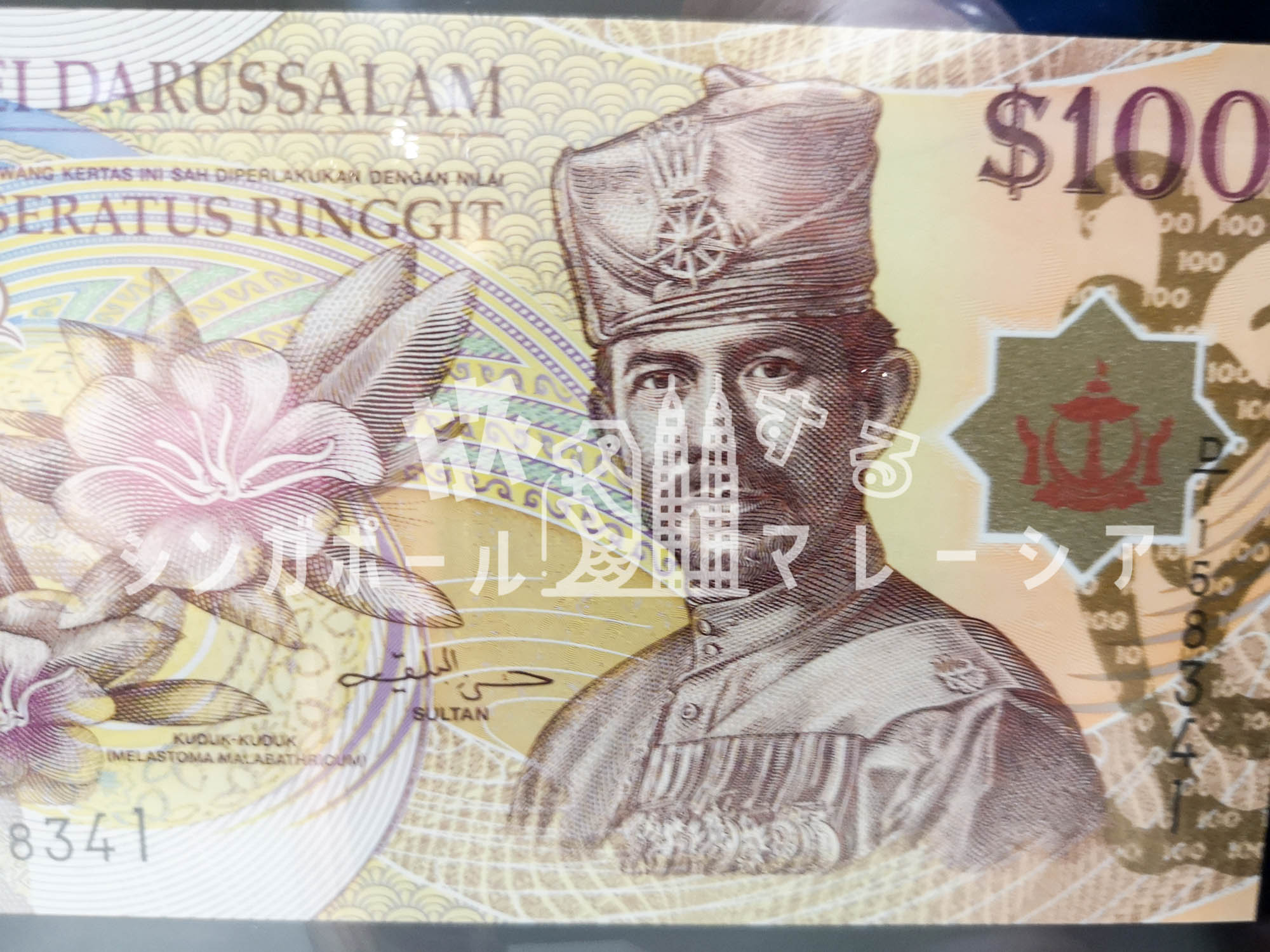 シンガポールドル両替おすすめはどこ？レート比較＆格安両替場所まとめ