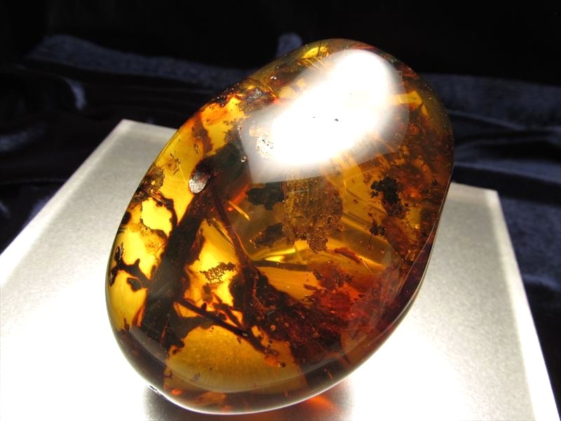 ◇超超超レア！厳選品◇限定1点！木の枝&虫入り◇ツーソン展示会商品