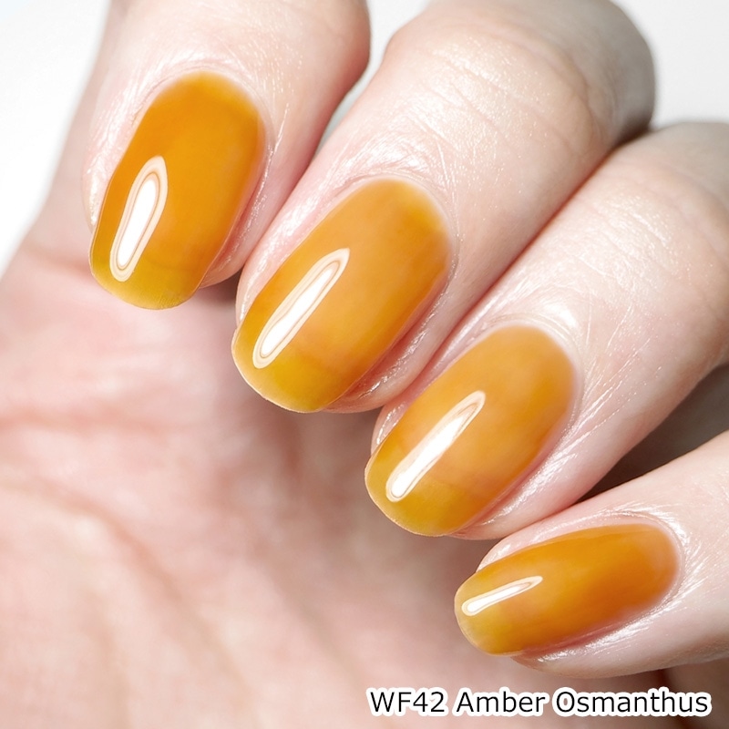 HOMEI ホーメイ ウィークリージェル WF39・WF40・WF42