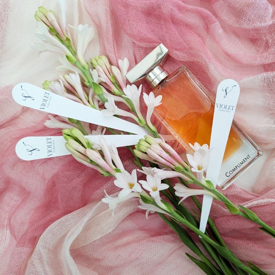 Compliment / コンプリモン