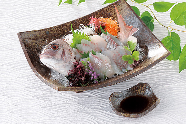 刺身・千代口・和食器の通販|食器のセール・購入なら陶磁庵