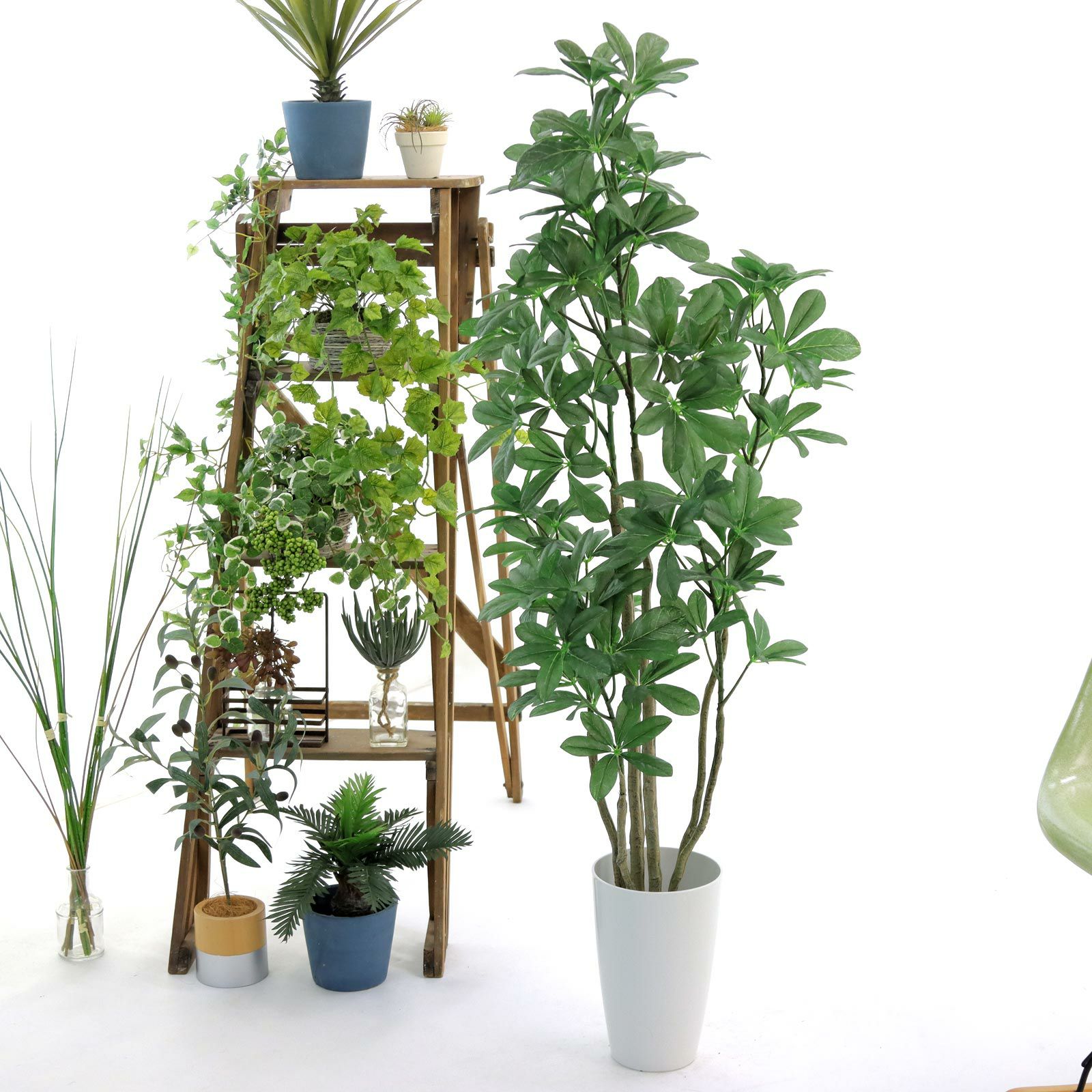 No8433 プレミアム光触媒フェイクグリーン 「丸みのある葉 × ふんわり