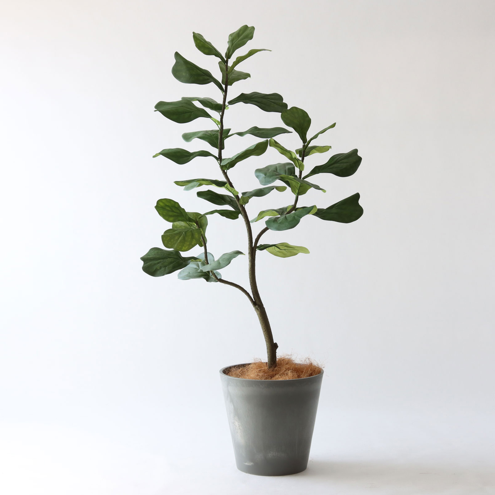 高さ150-180cm | プレミアム光触媒フェイクグリーン 造花ドットコム