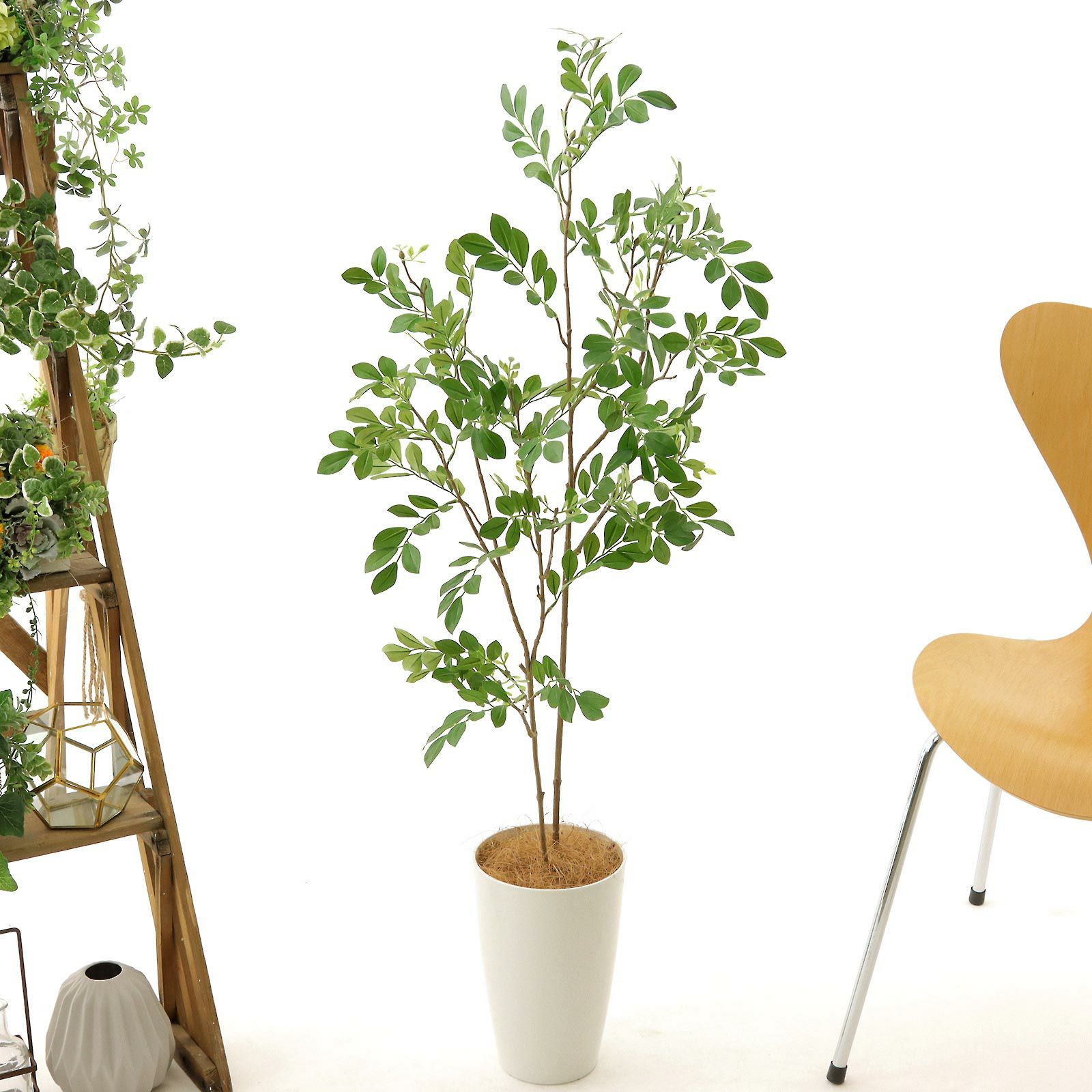 No3545 プレミアム光触媒フェイクグリーン 「繊細な葉 × すっきり2本立