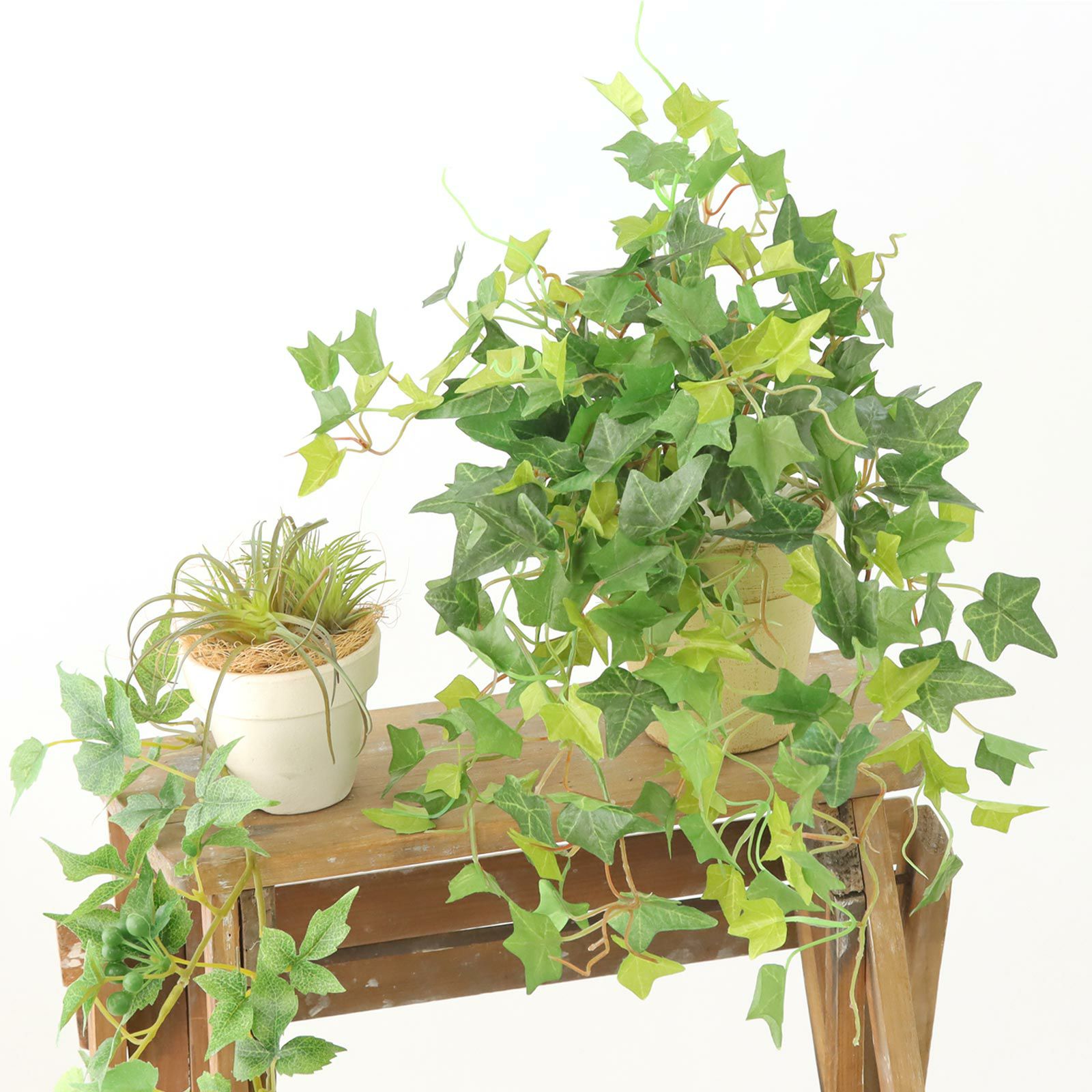 アイビー（つる植物） | プレミアム光触媒フェイクグリーン 造花ドット