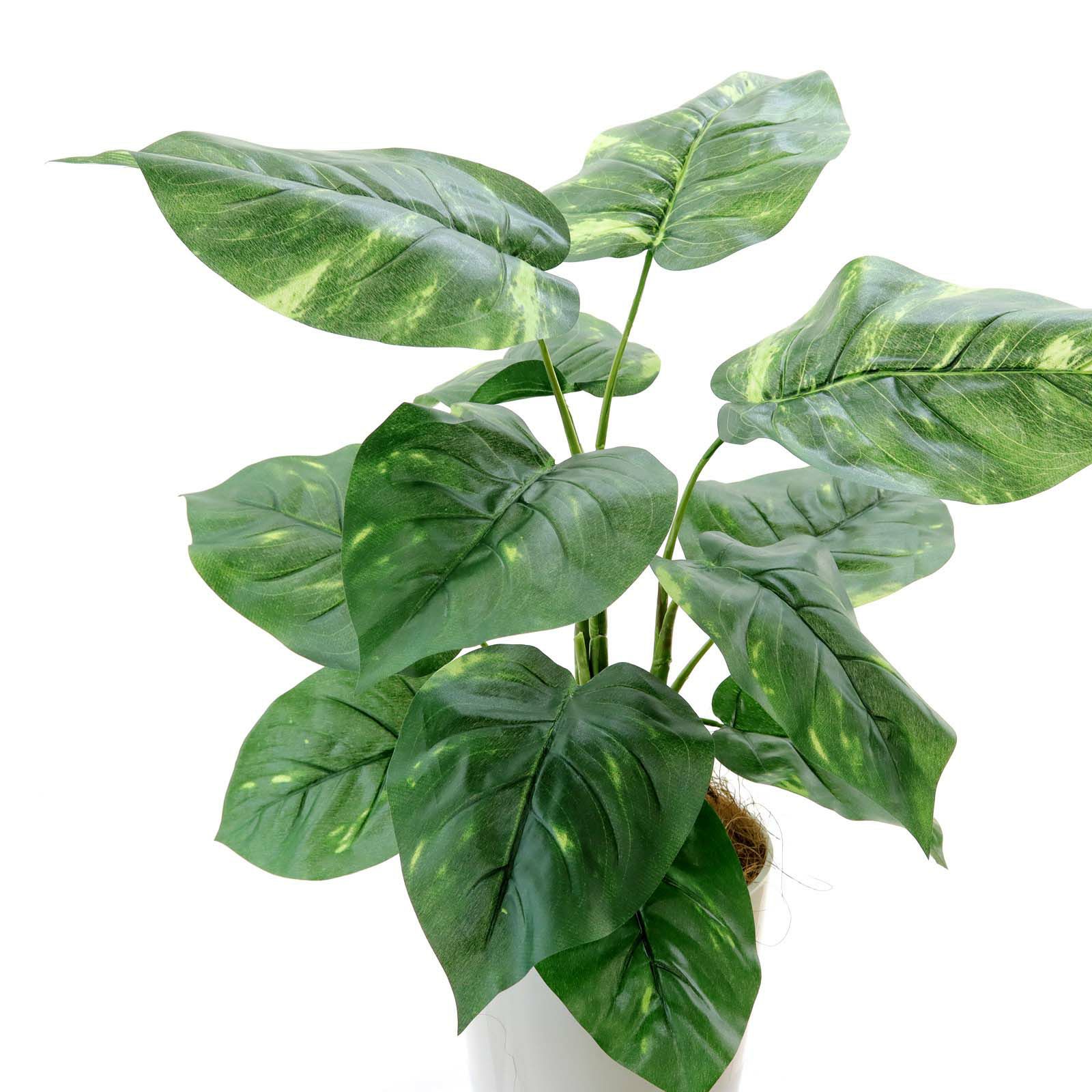 No93691 プレミアム光触媒フェイクグリーン 「つややかな葉 × 柔らかな