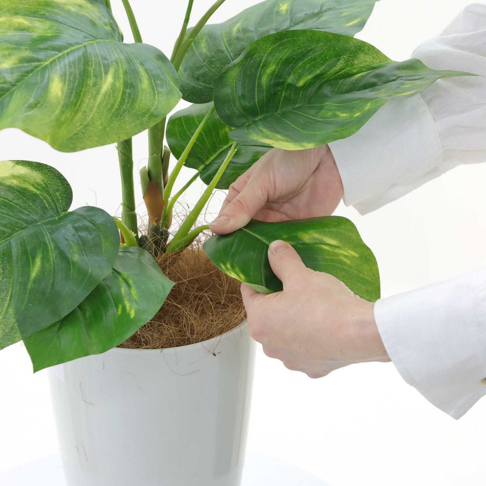 No93691 プレミアム光触媒フェイクグリーン 「つややかな葉 × 柔らかな