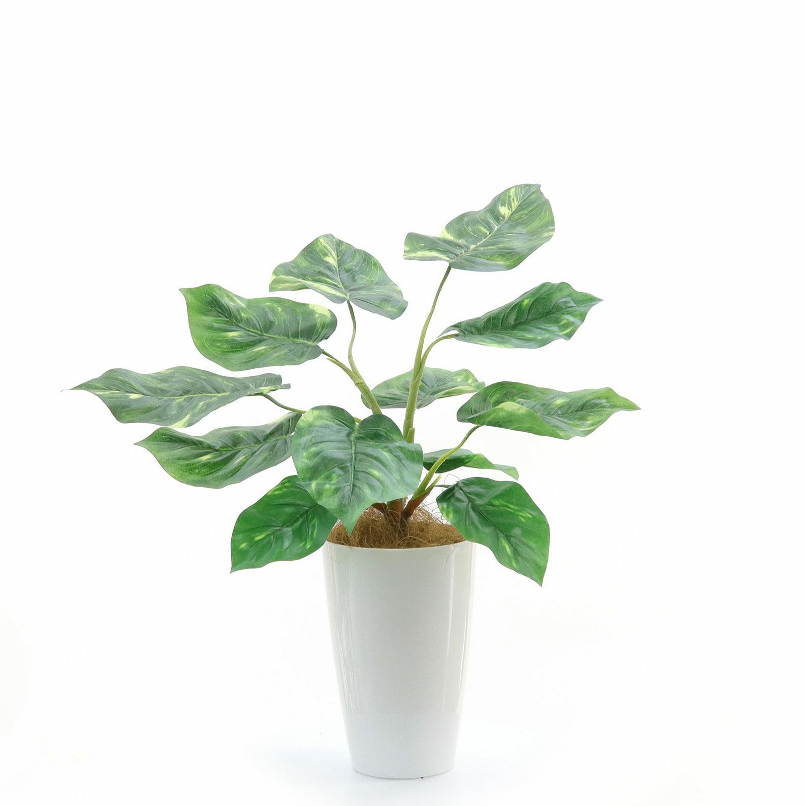 No93691 プレミアム光触媒フェイクグリーン 「つややかな葉 × 柔らかな