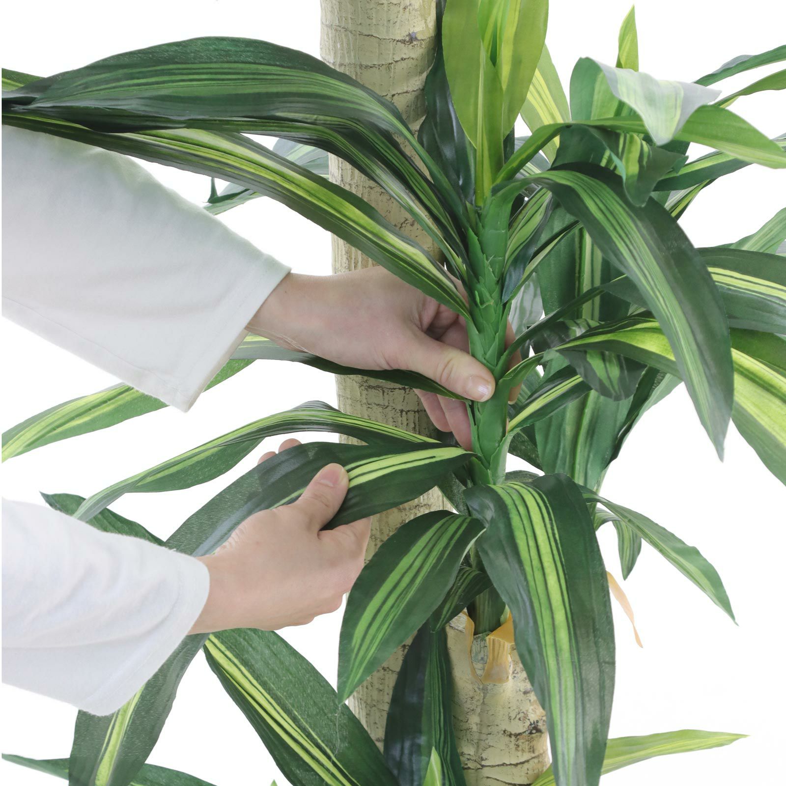 No8123 プレミアム光触媒フェイクグリーン 「爽やかな葉色 × 安定感