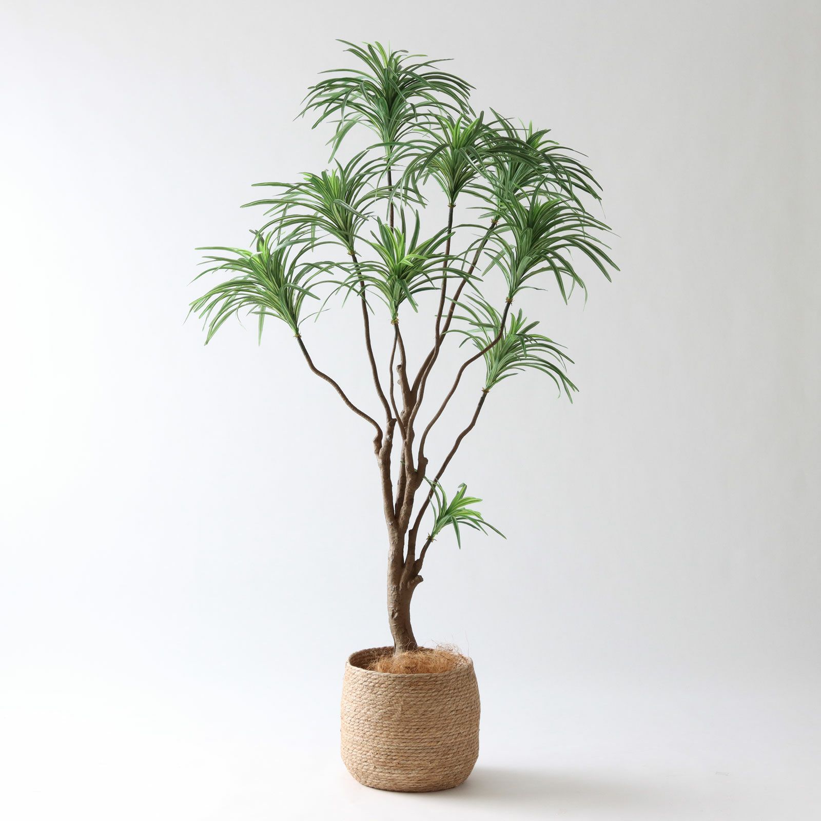 高さ180cm- | プレミアム光触媒フェイクグリーン 造花ドットコム zouka.com