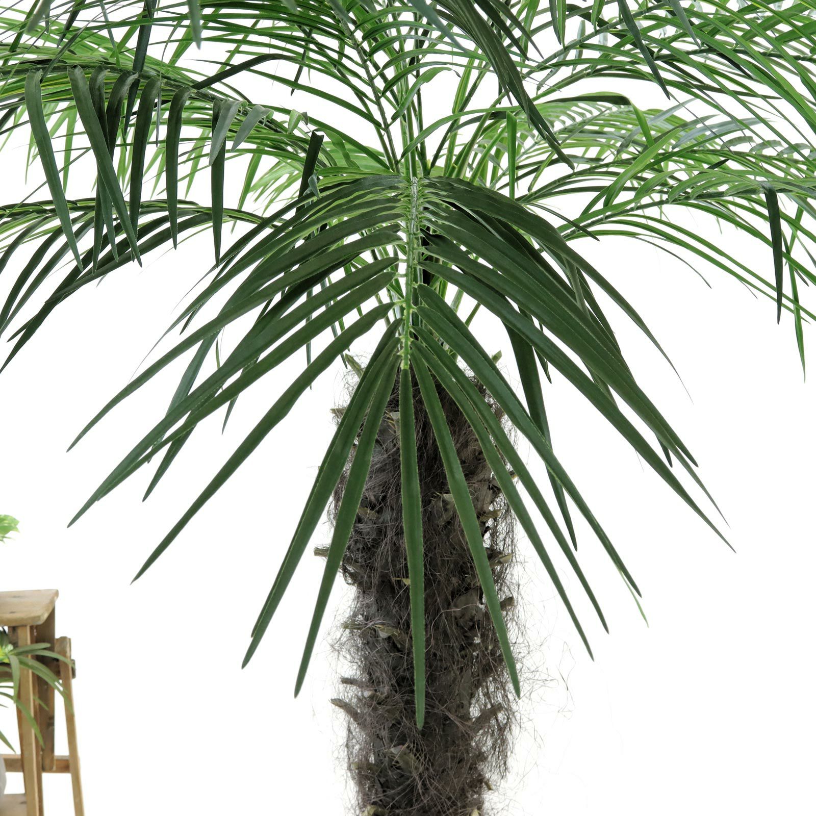 No9275 プレミアム光触媒フェイクグリーン「圧巻のスケール感