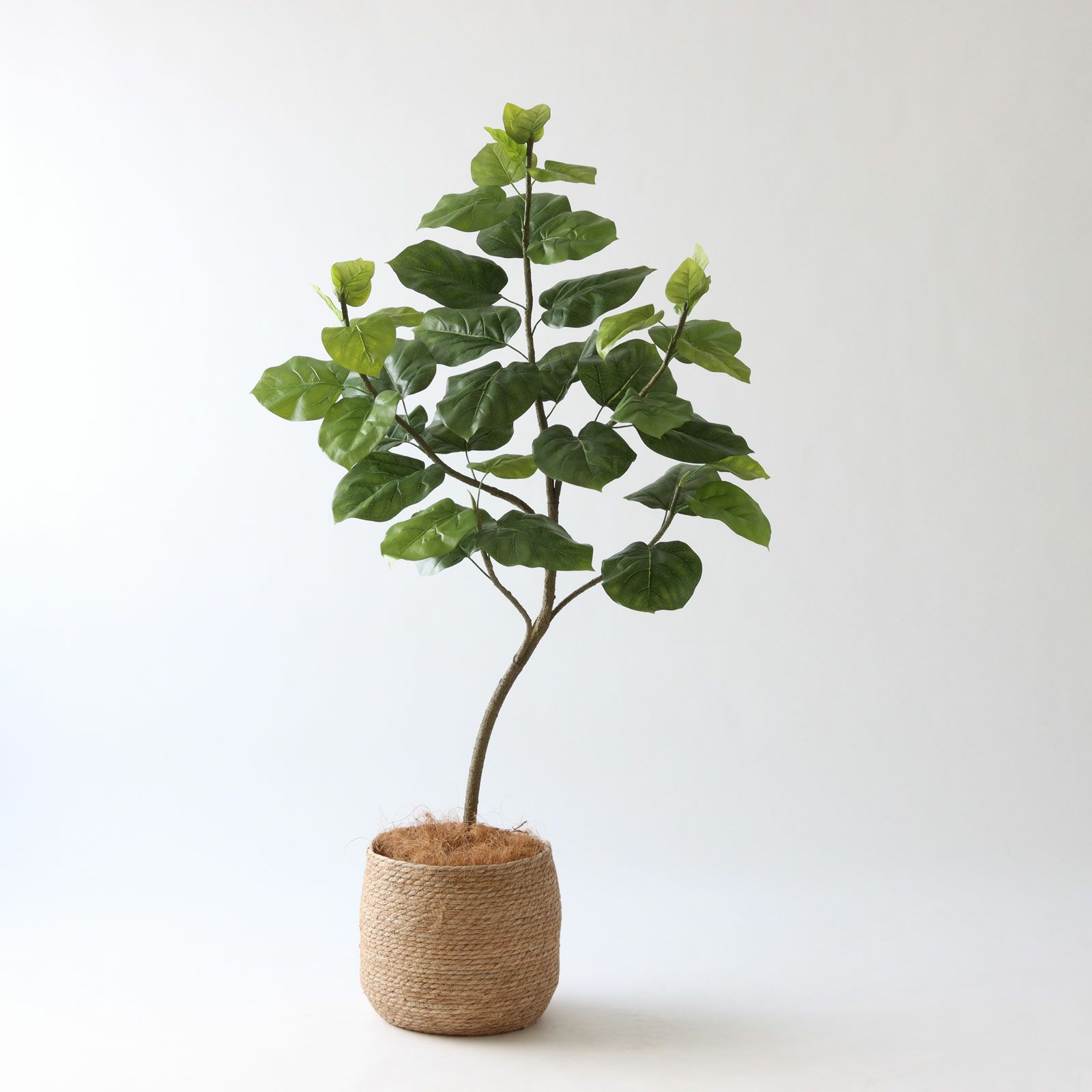 No9283 プレミアム光触媒フェイクグリーン 「柔らかな葉 × バランスの