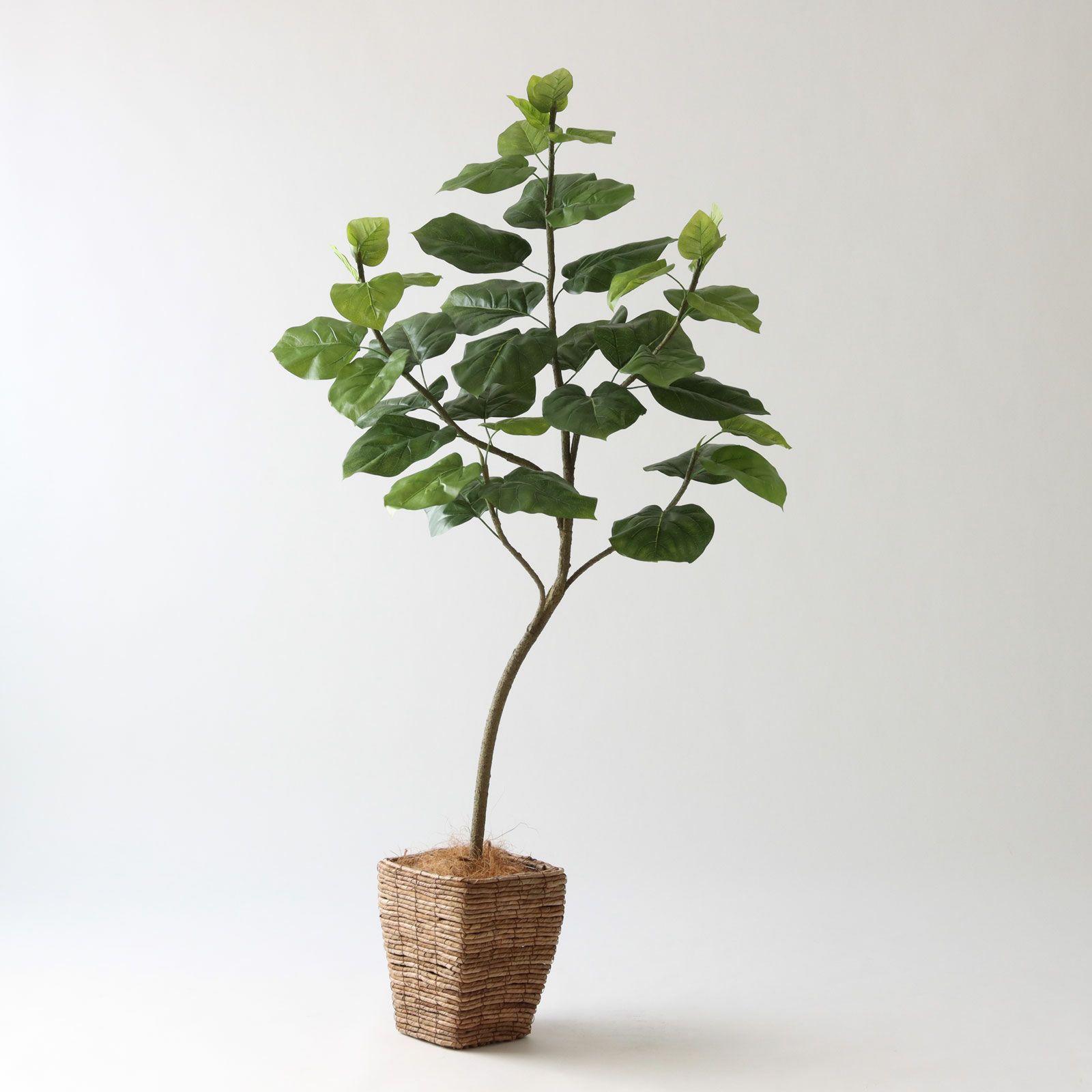 No9283 プレミアム光触媒フェイクグリーン 「柔らかな葉 × バランスの