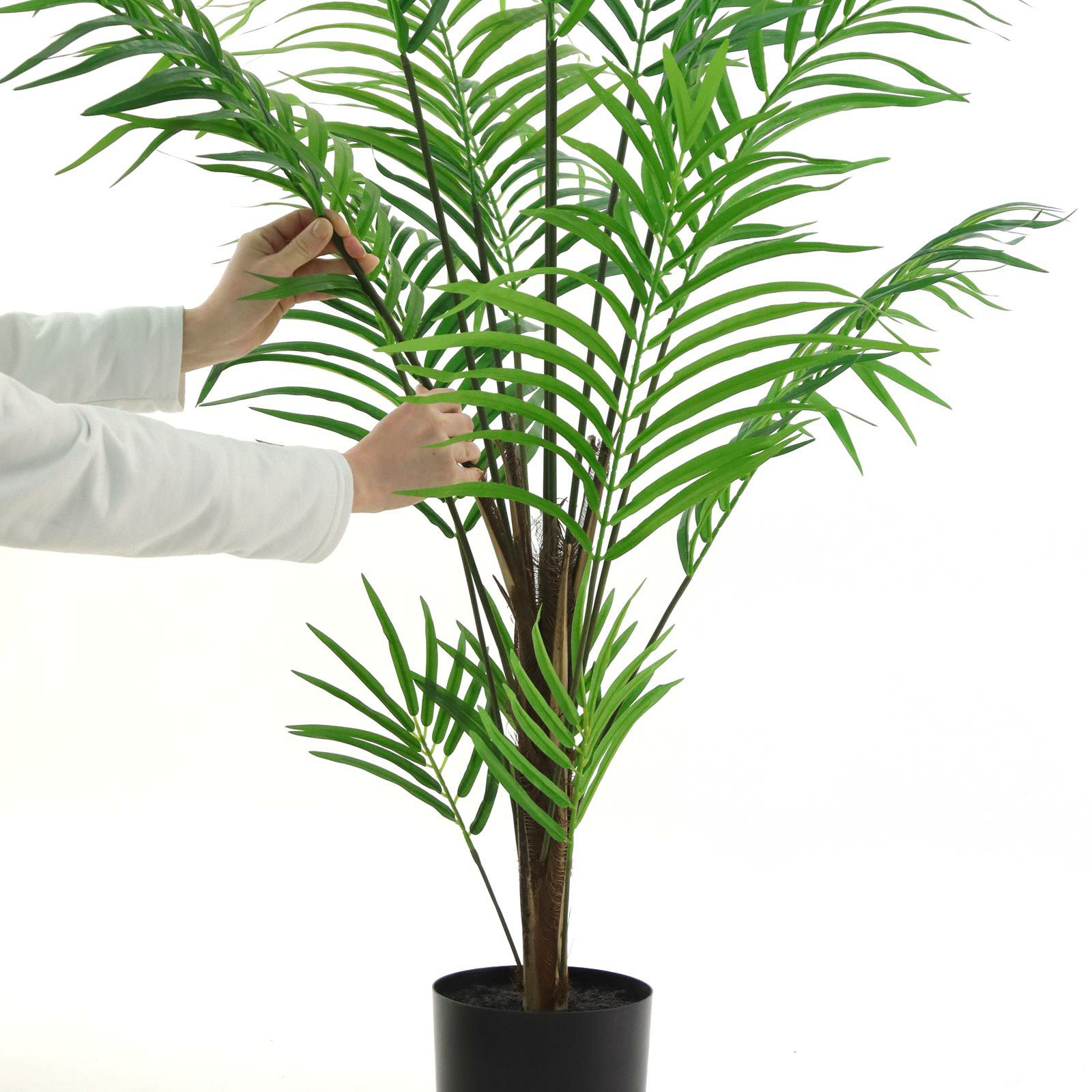 000000000071-20.jpg?t=