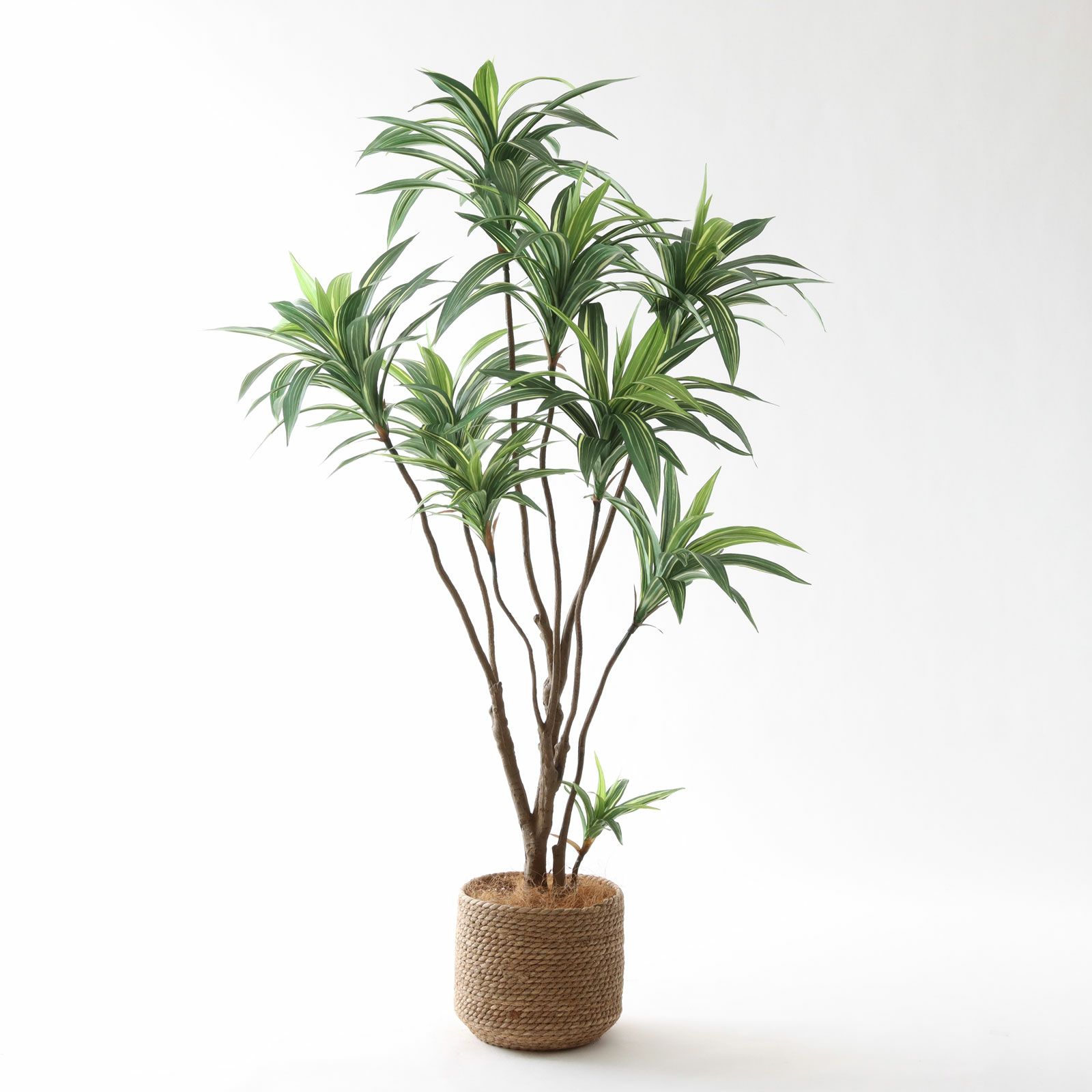 レモン | プレミアム光触媒フェイクグリーン 造花ドットコム zouka.com