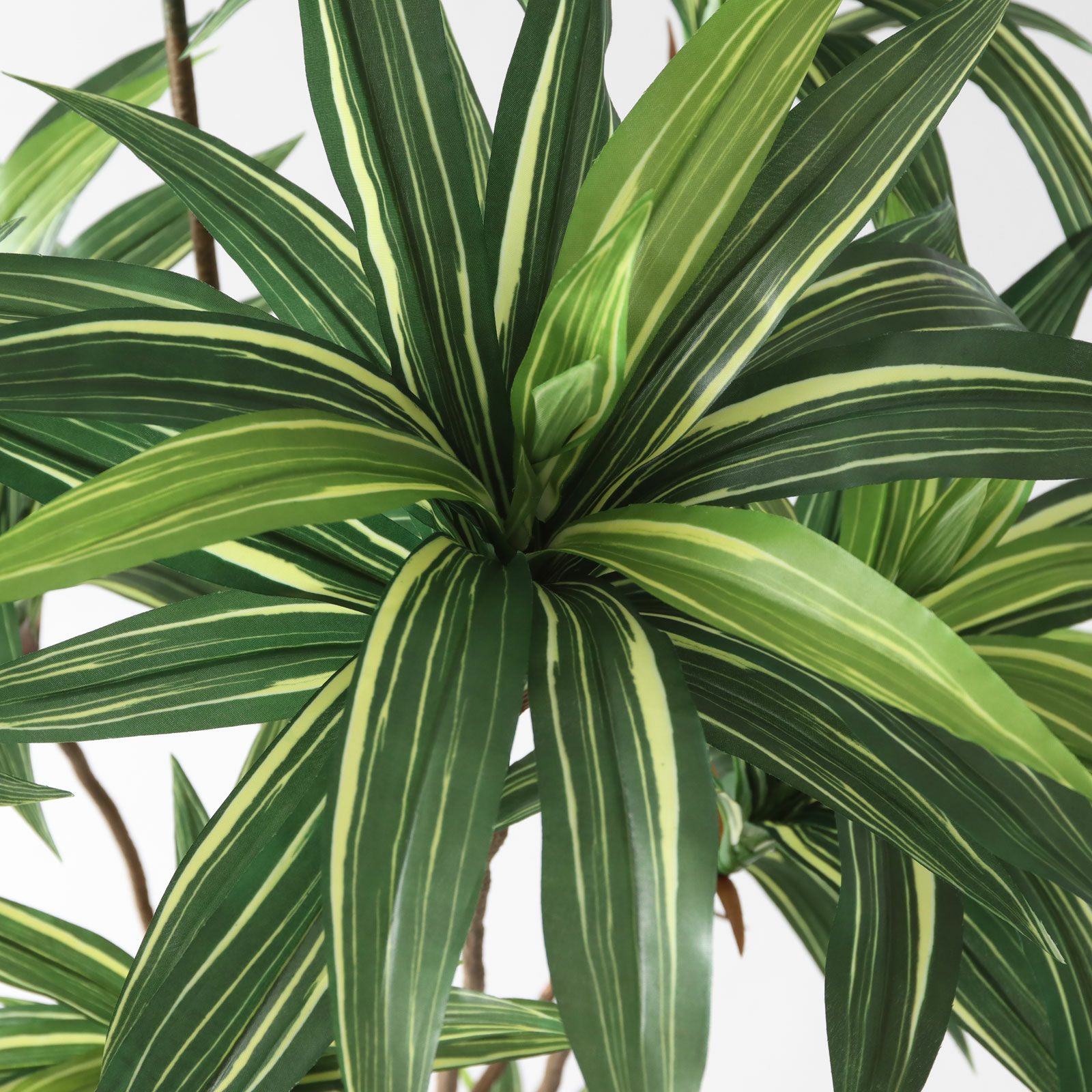 No8271 プレミアム光触媒フェイクグリーン 「爽やかな斑入り葉