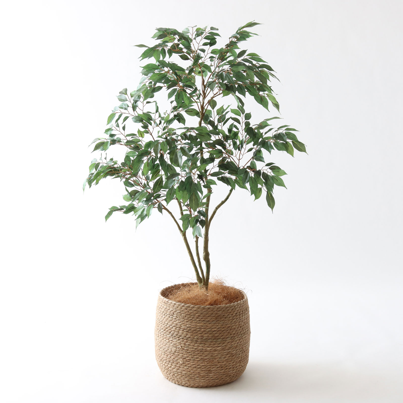 No8414 プレミアム光触媒フェイクグリーン 「軽やかな枝ぶり × 豊かな