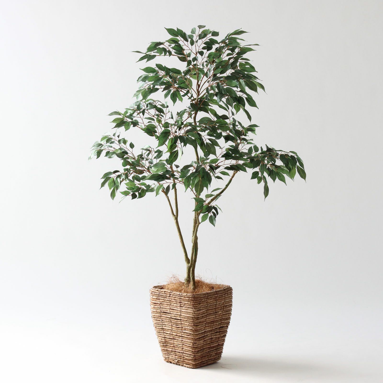 No8414 プレミアム光触媒フェイクグリーン 「軽やかな枝ぶり × 豊かな