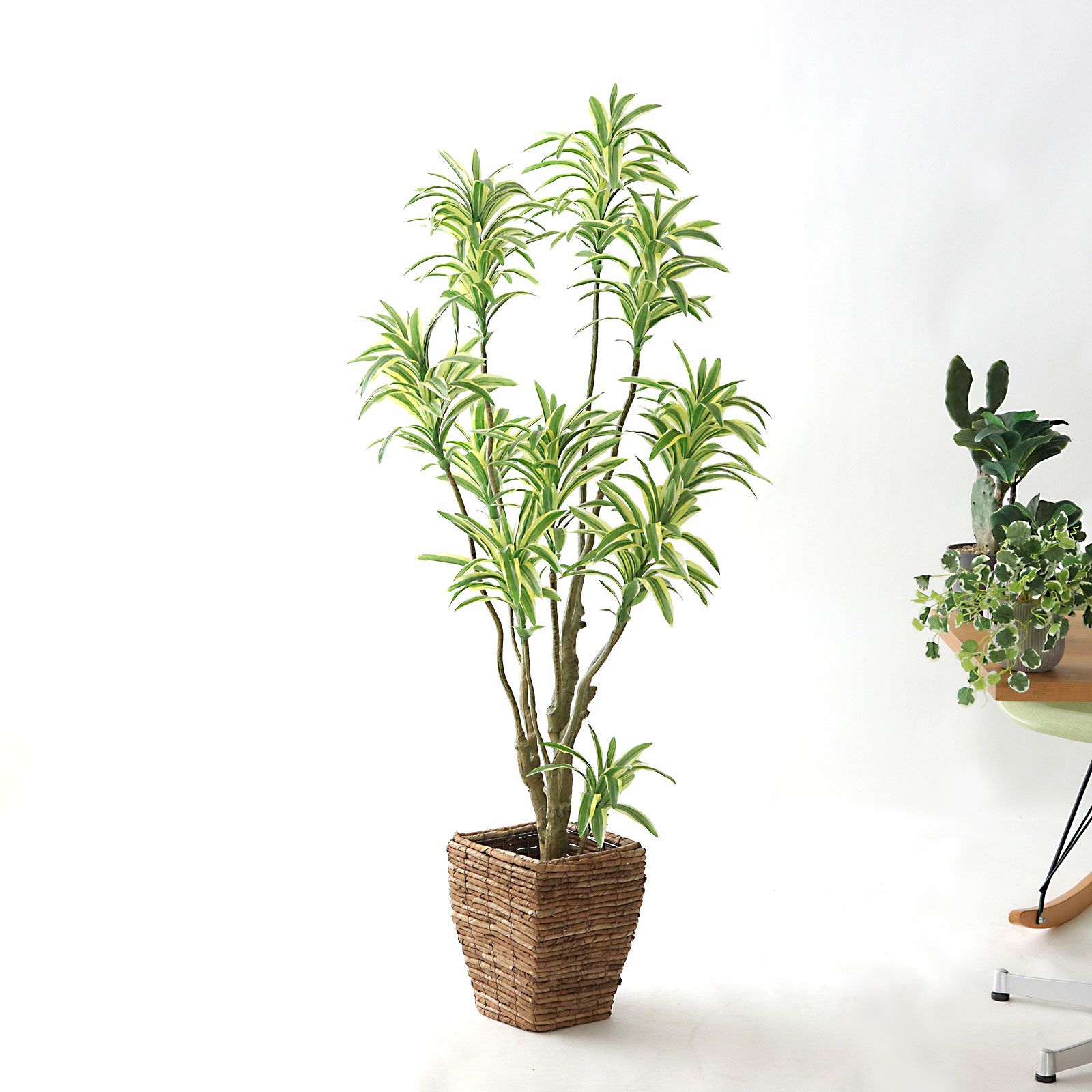 プレミアム光触媒フェイクグリーン 造花ドットコム zouka.com