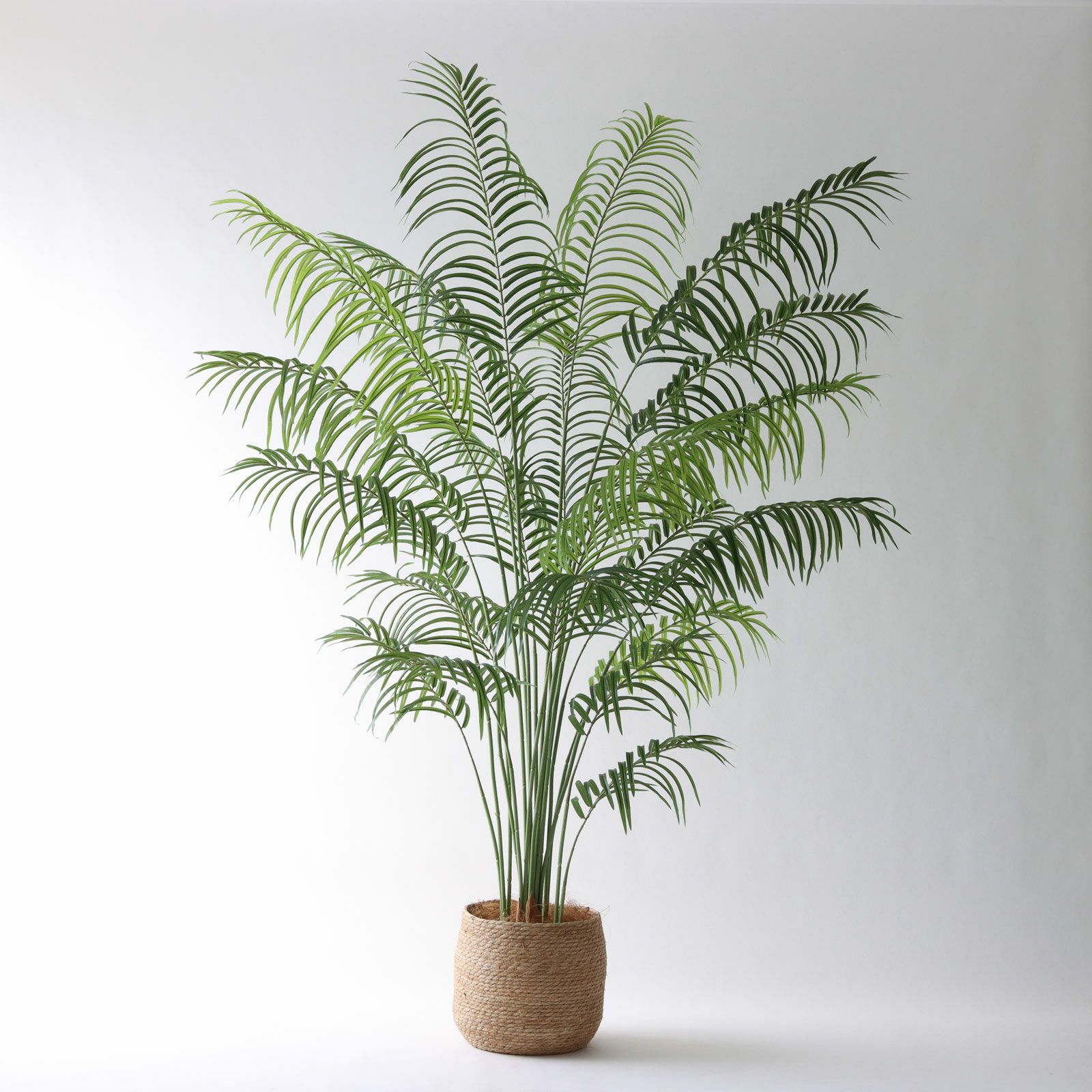 高さ180cm- | プレミアム光触媒フェイクグリーン 造花ドットコム zouka.com