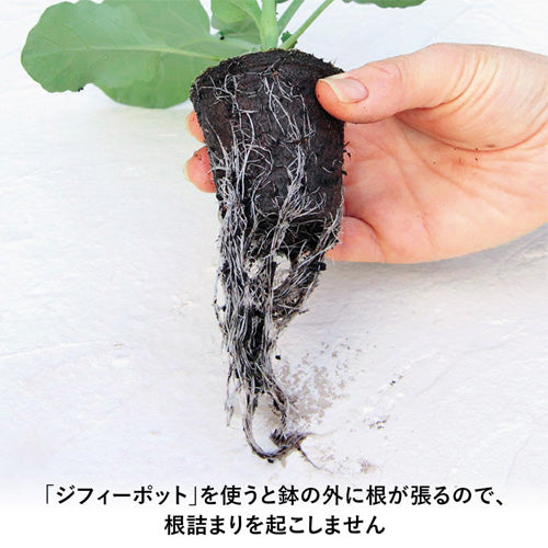 ジフィー エコポット・ジフィー ポット【丸型】 ｜農業メッシュネット