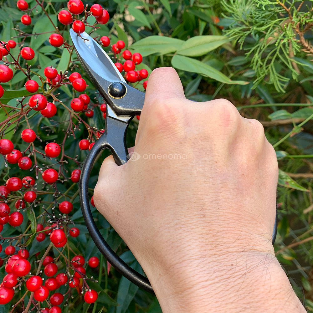植木鋏 青紙 カシメ 60mm – amenomaオンラインショップ