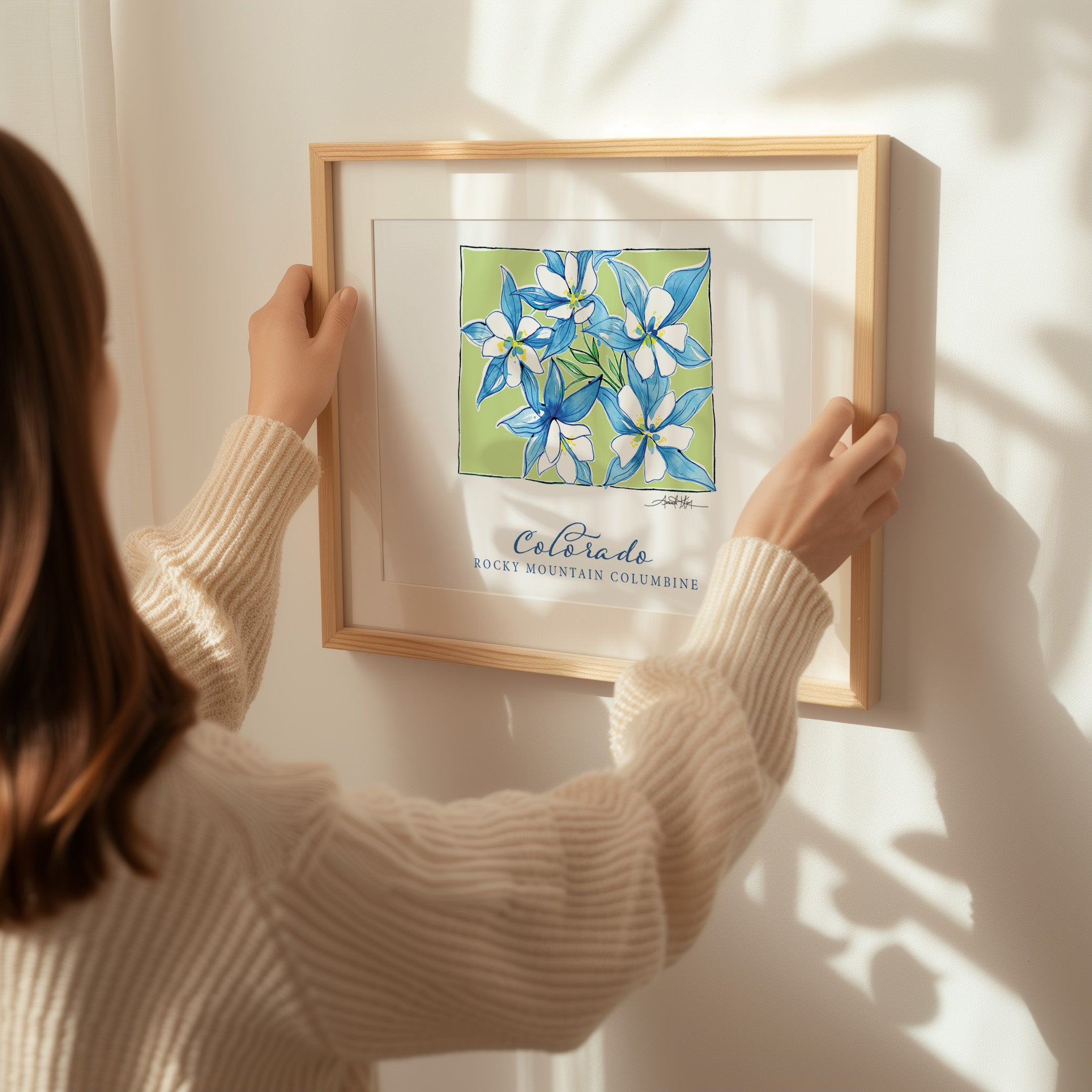 Colorado Rocky Mountain Columbine State Flower Fine Art Print