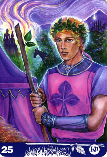 あなたの今日のオーラソーマタロット