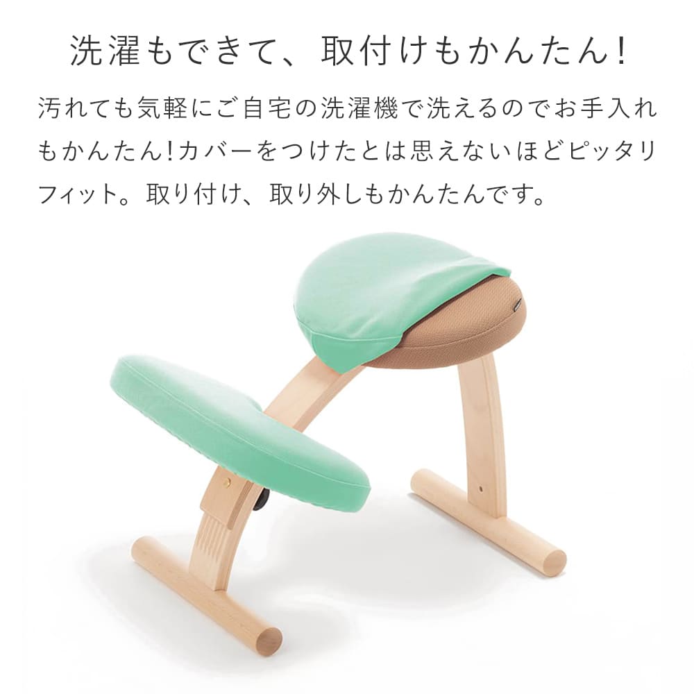 バランス イージー専用｜きせかえカバーnew バランスラボ – バランス