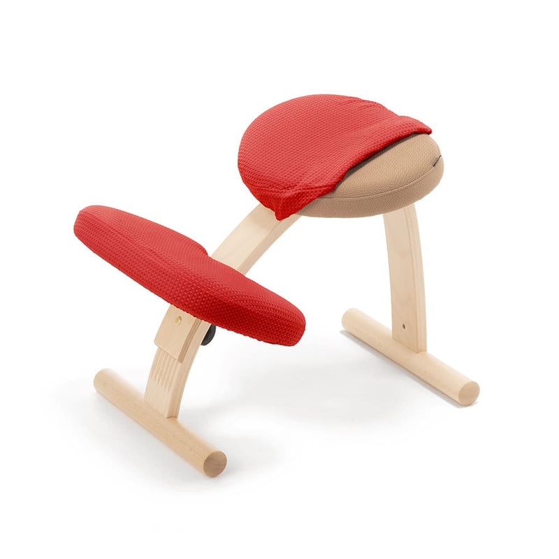 バランスラボ 】バランスイージー カバー付き バランスチェア RYBO