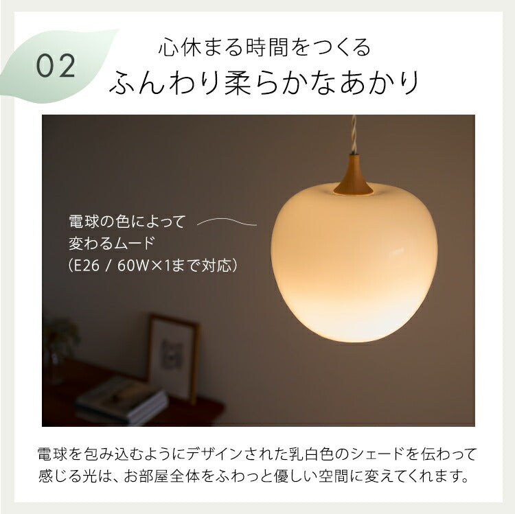 ペンダントライト 1灯 ringo リンゴ L ダイニング照明 ダクトレール用