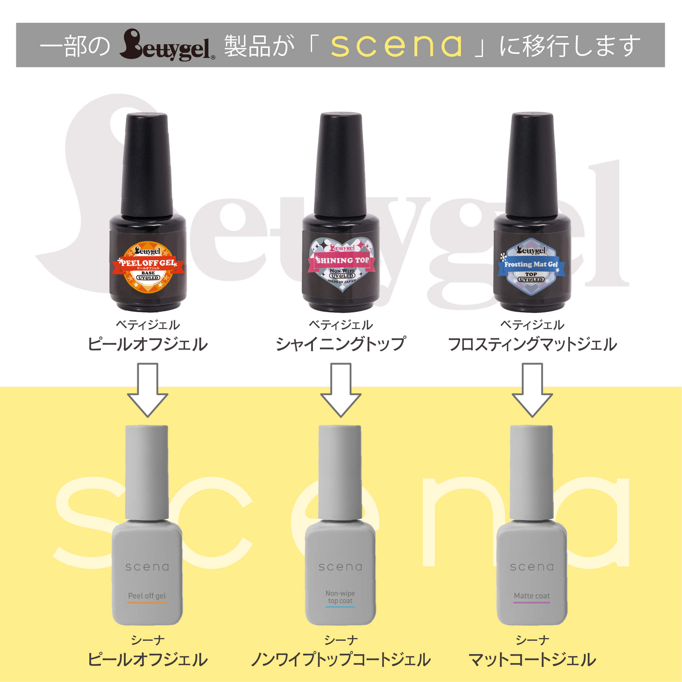 最新情報｜ジェルネイル ベティジェル