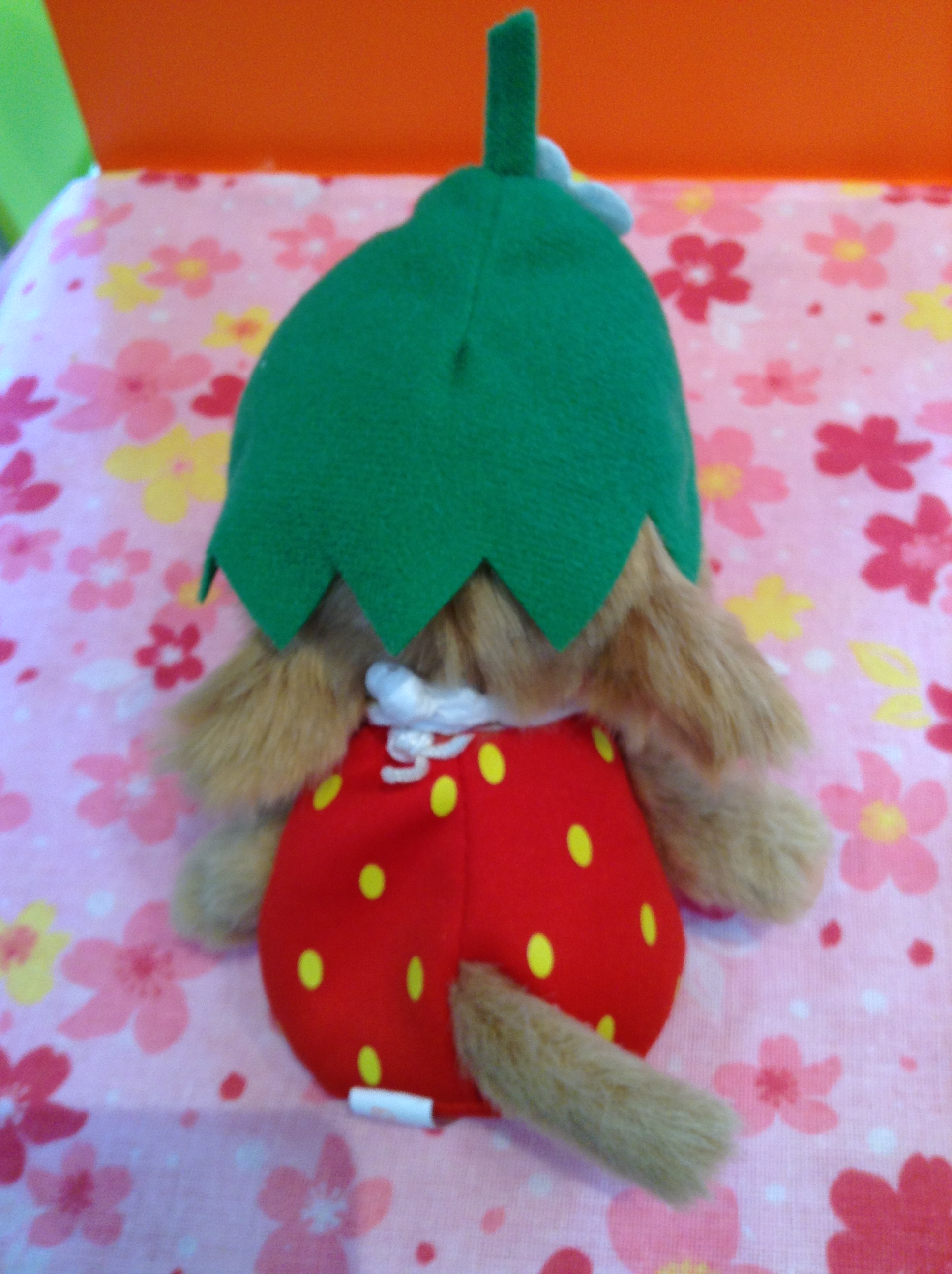 モンチッチ新商品のお知らせ☆ | ドリーム・ぽけっとショップ