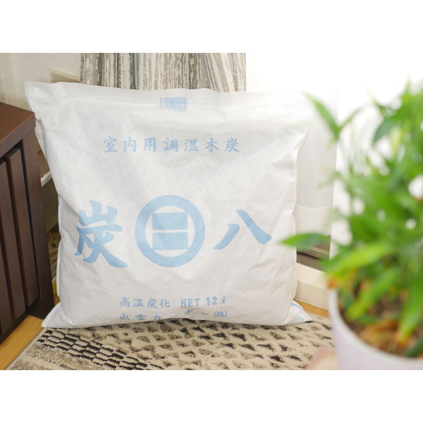 出雲カーボン 炭八 室内用調湿木炭 OT-OTHSUMI8-0004 1袋 - アスクル