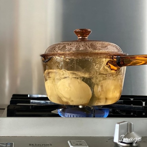 ビジョン（VISIONS） ソースパン 1L CP－8690｜【ハンズネットストア】