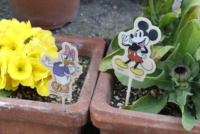 ダイソーなら1本約27円だよ～！ディズニーグッズなのにお得感たっぷり