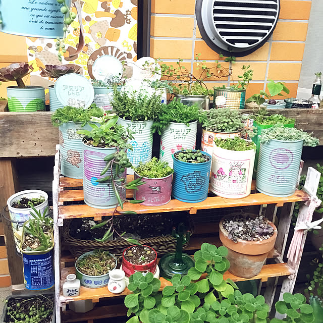 寄せ植え カリシアロザートのインテリア実例 ｜ RoomClip（ルーム