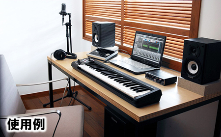 Roland】MIDI キーボード コントローラー A-49-BK【配送不可：離島