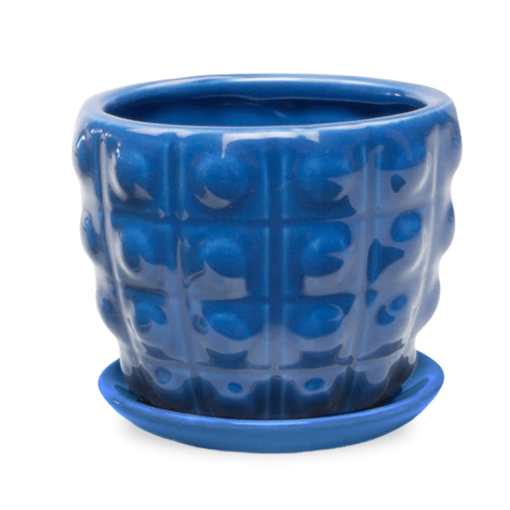 Convex Pot With Drainage