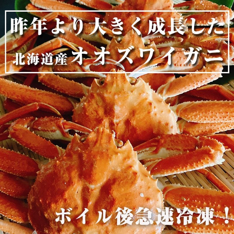 冷凍】カネサン佐藤水産 北海道産オオズワイガニ4尾(合計1.6kg)｜郵便