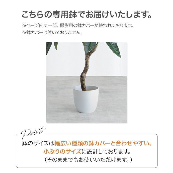 g162010]【高さ85cm】Nature 光触媒人工観葉植物 ユーカリ 観葉植物