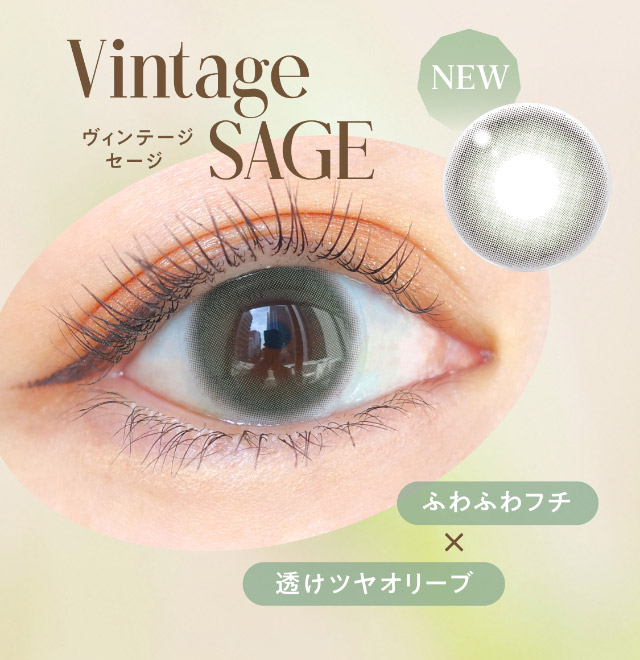 エンジェルカラーバンビヴィンテージワンデーヴィンテージクラシック