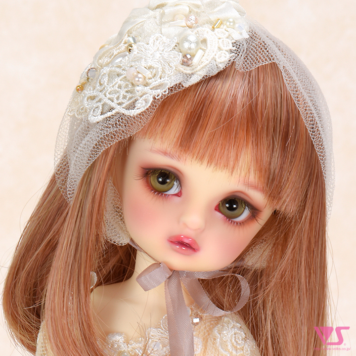 ディーラー専用 SD里帰りサービス | ドルパポータル | ボークス公式