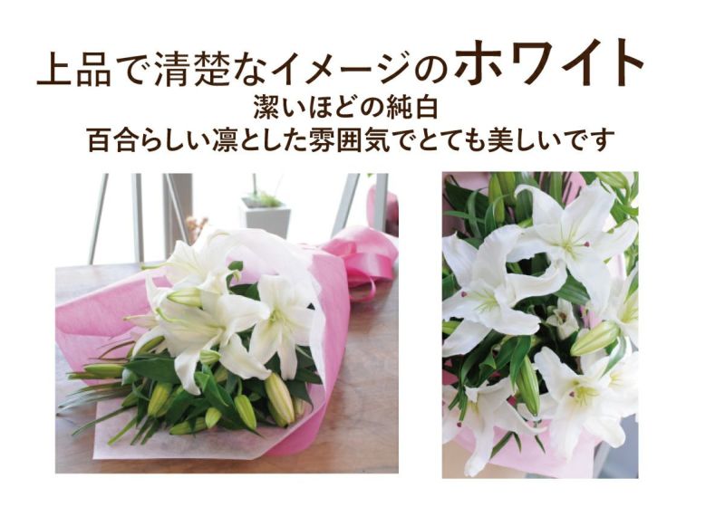 白・ピンク百合の花束15輪以上 ユリ(百合)の花(白いユリ・ピンクユリ