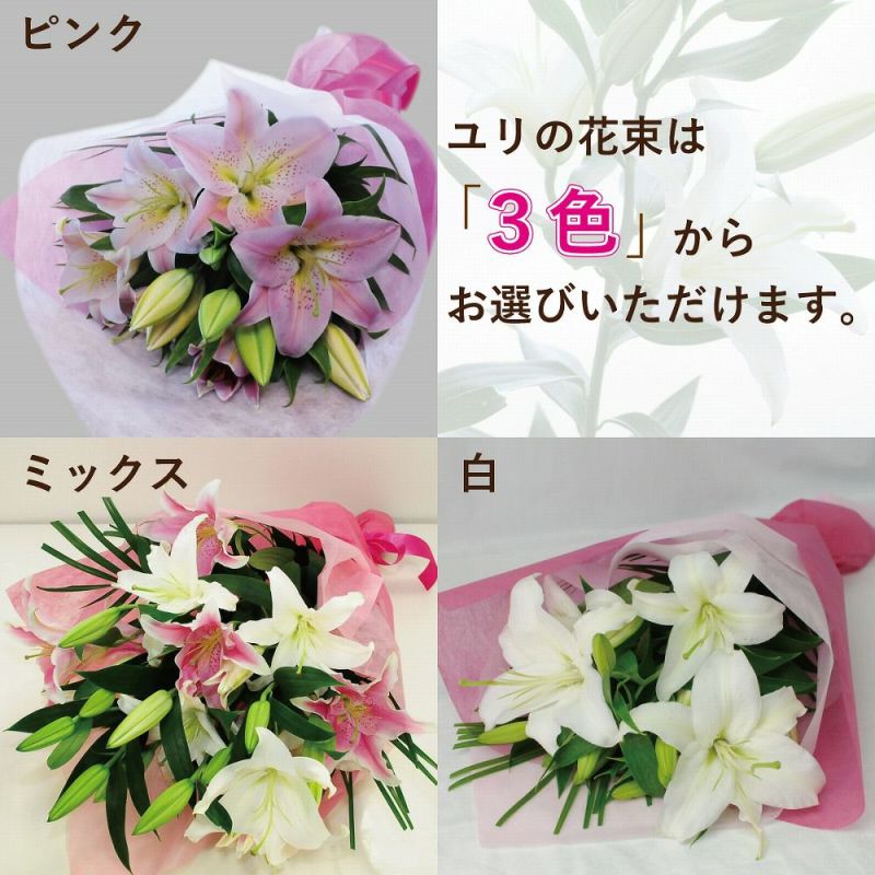 白・ピンク百合の花束15輪以上 ユリ(百合)の花(白いユリ・ピンクユリ