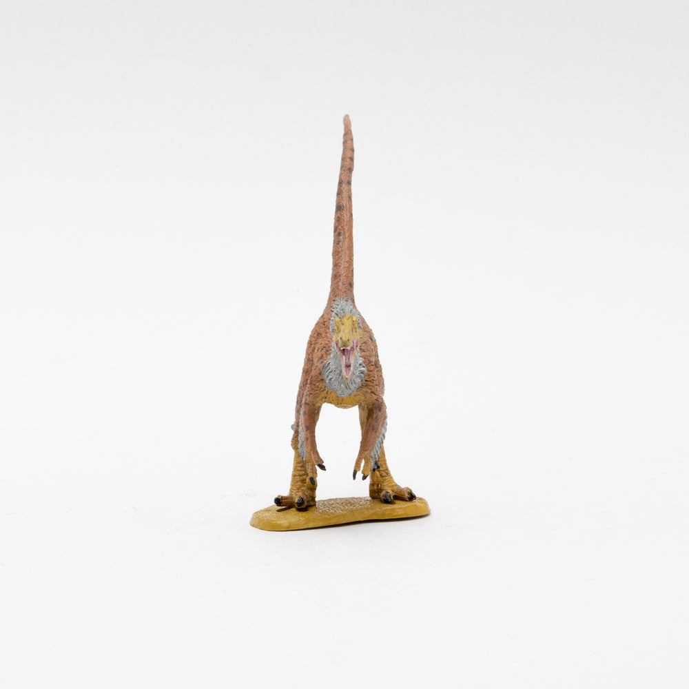 Favorite｜ヴェロキラプトル ソフトモデル｜ソフト素材を使用した