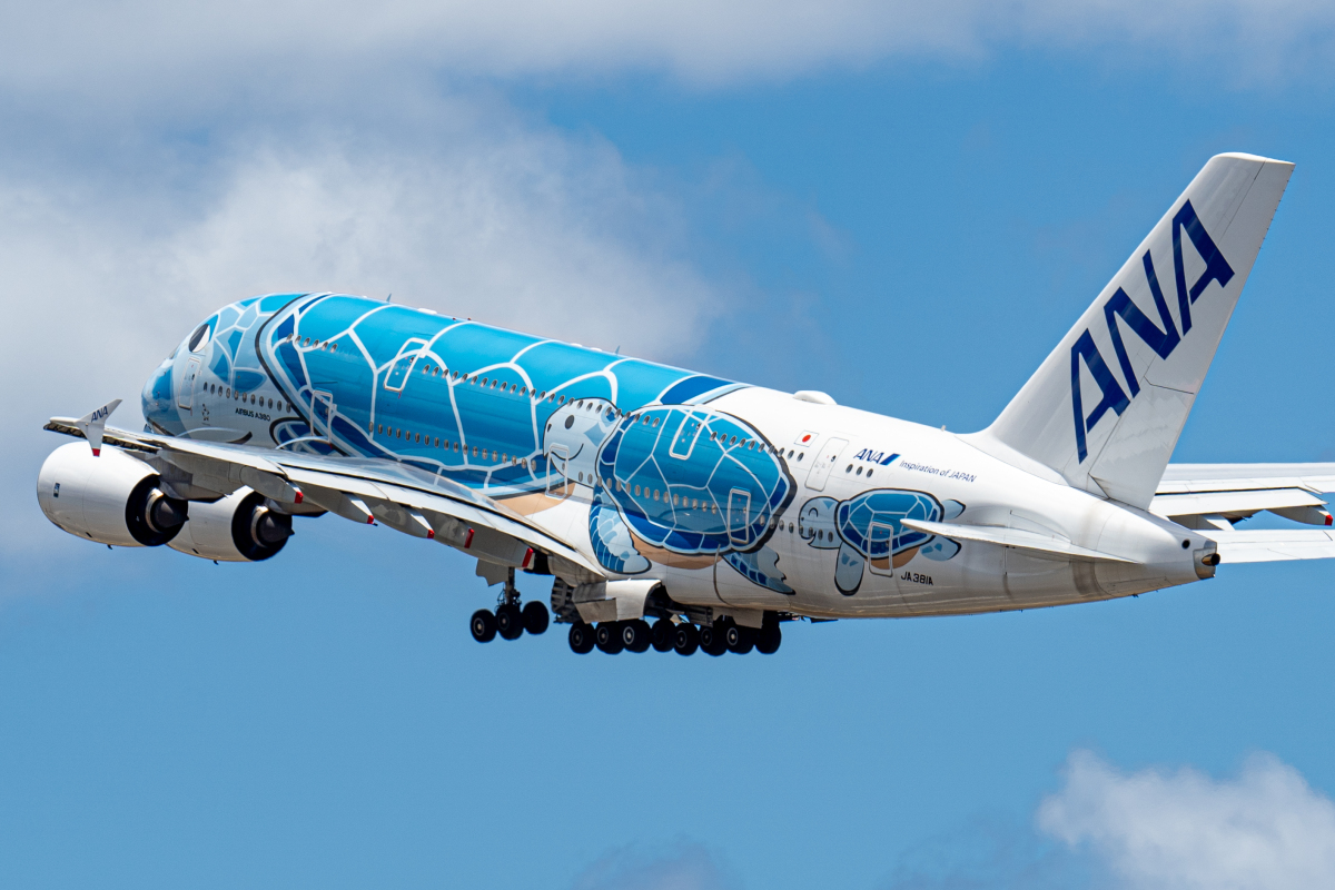 祝・A380 3機体制！ANA フライングホヌ 3号機“ラー”「JA383A」、10/20