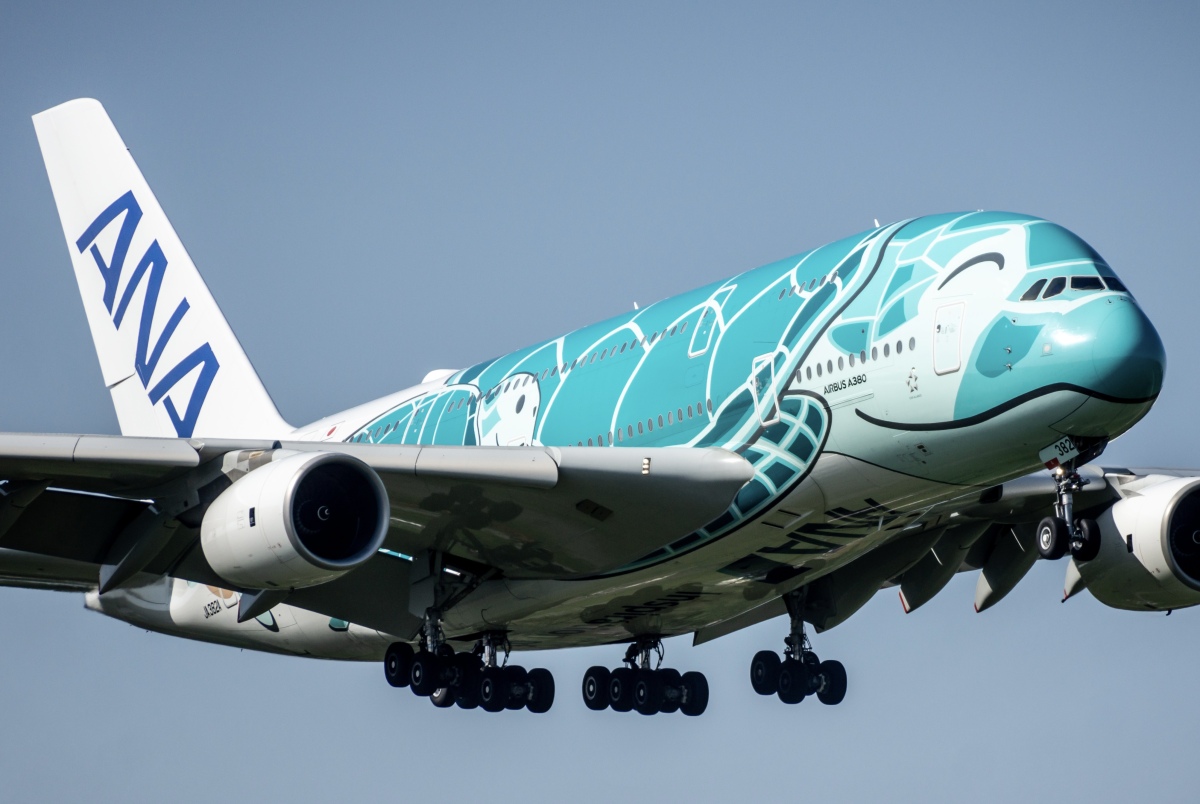 相手はANAのA380「フライングホヌ」！成田空港、小学生と飛行機の