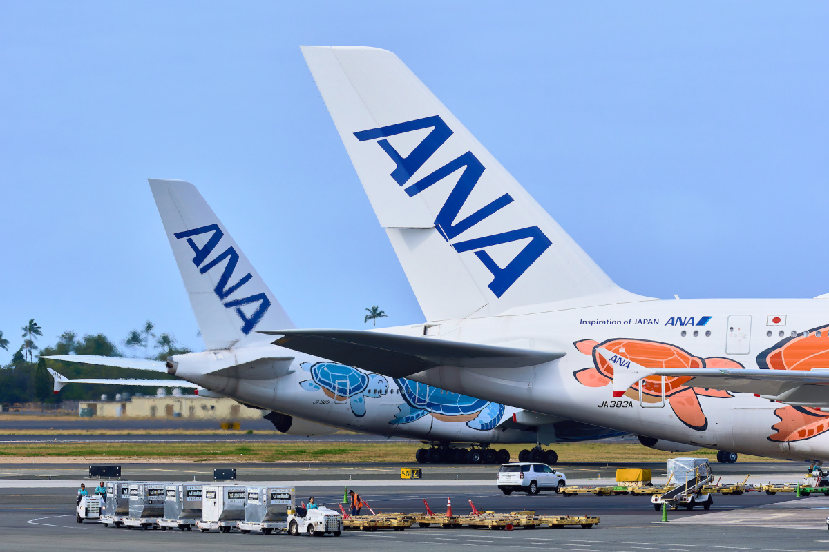 コロナに大きく翻弄された”日本最後の巨人機” ANA「フライングホヌ」6